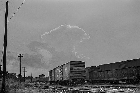 Rail Cars