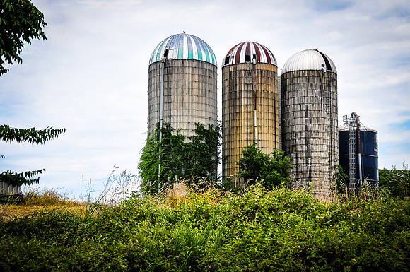 Tennessee Silos