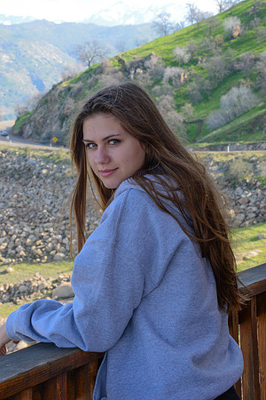 In the Sequoias