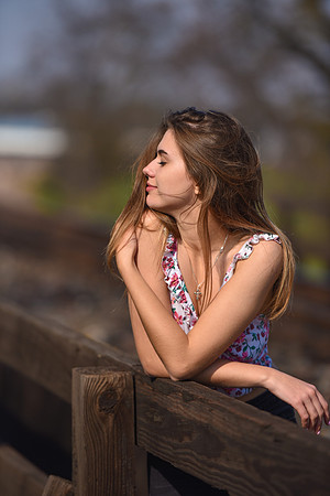 Basking in the Sun