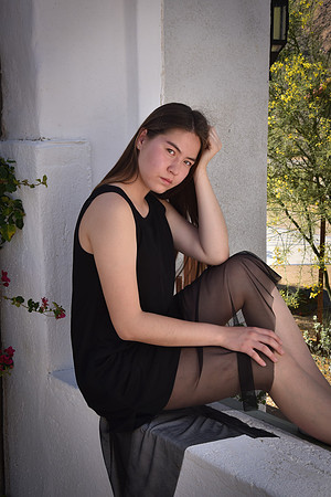 Beauty In the Window