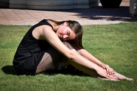 Anel in Courtyard