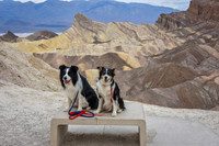 Photo of the Kids