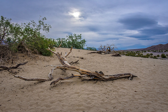 Beauty at the Dunes