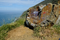 Graffitied Rock
