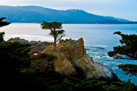 Lone Cypress