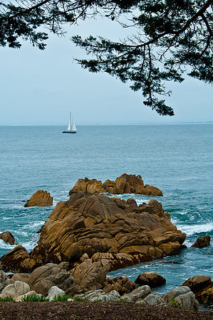 Sailboat off 17 Mile Drive