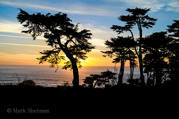 Sea Cliff at Lands End