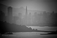 Foggy Skyline