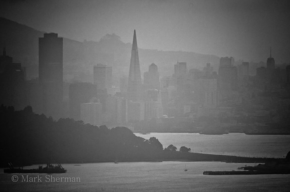 Foggy Skyline