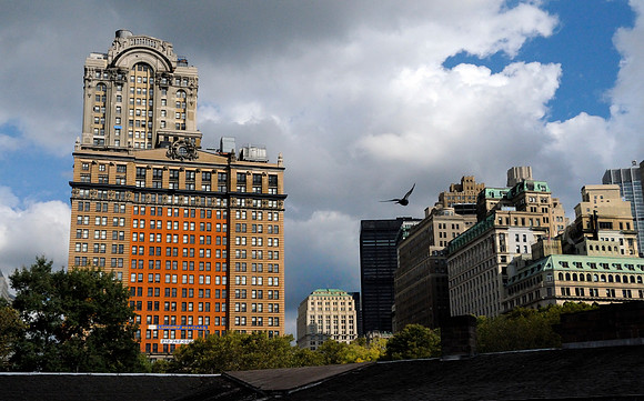 View from Battery Park
