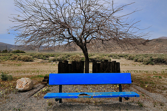 The Blue Bench