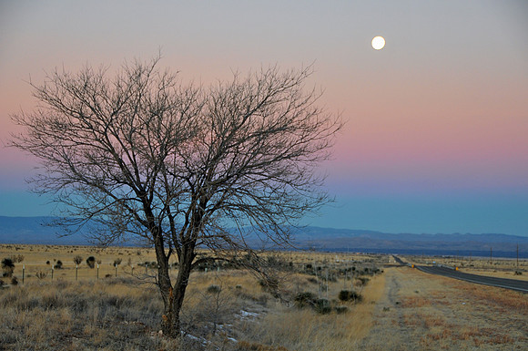 New Mexico Moon