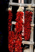 New Mexico Reistras
