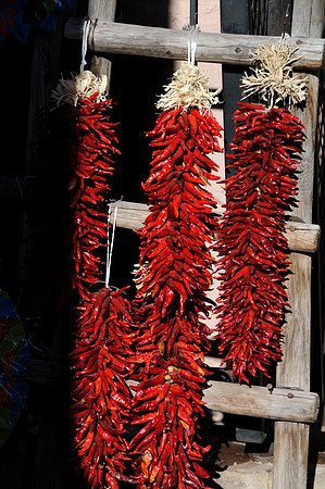 New Mexico Reistras
