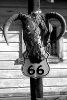 Route 66 Skull