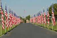 Avenue of Flags