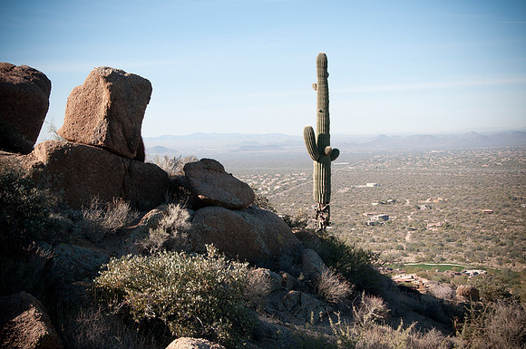 Pinnacle Peak