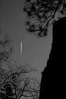 Flight in B&W