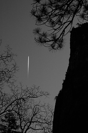 Flight in B&W