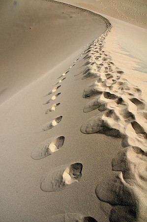 Footprints in the Dunes