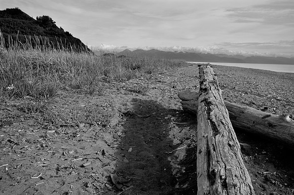 Kenai River View