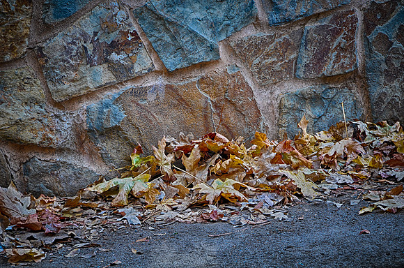 Signs of Fall