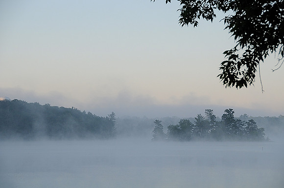 Morning Fog