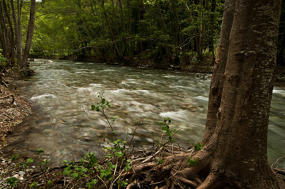 Big Sur Stream