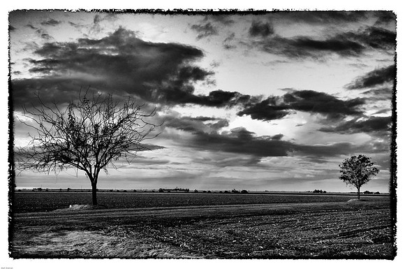 Central Valley Sunset