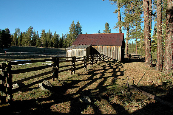 Late Afternoon Shadows