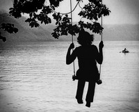 The Swing