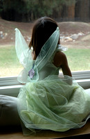 Window Fairy