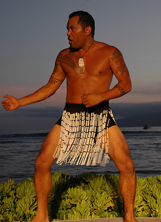Hawaiian Dancer