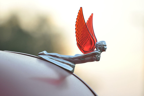 Winged Hood Ornament