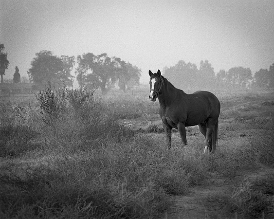 In the early morning
