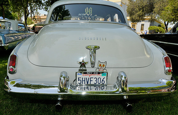 My 49