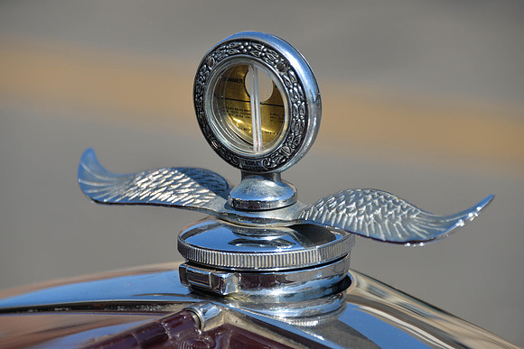 Winged Ford 2