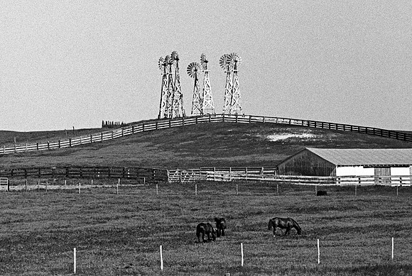 Seven Windmills South Dakota