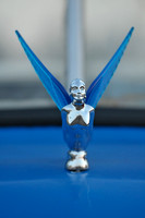 Blue Wings
