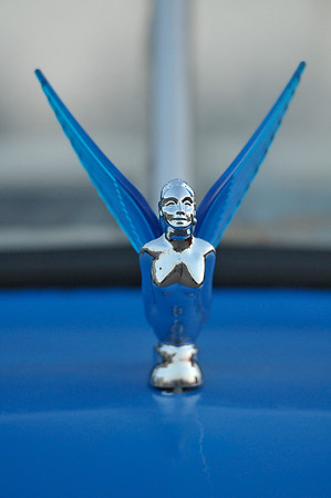 Blue Wings