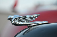 Sleek Lines