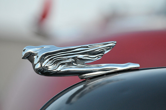 Sleek Lines