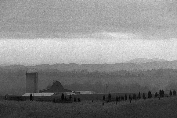 In the Distance