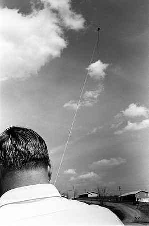 Flying Kelly's Kite