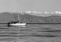 Off the Coast of Maui