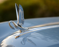 Hood Ornaments