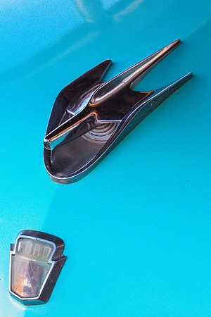 Ford Hood Ornament, Holbrook, Arizona