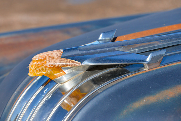 Pontiac Hood Ornament 2, Holbrook, Arizona
