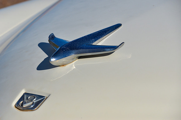Studebaker Hood Ornament, Holbrook, Arizona
